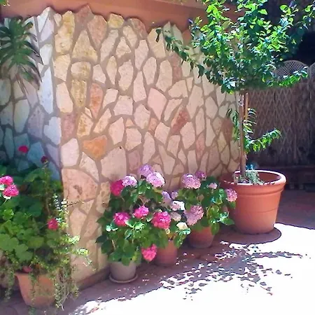 Accussi Bed & Breakfast