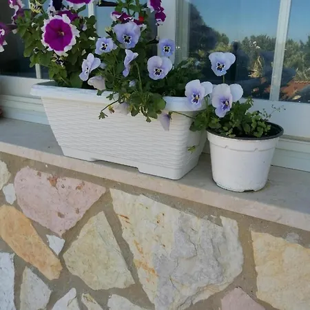 Bed & Breakfast Accussi Alcamo Marina