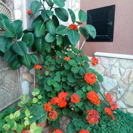 Accussi Bed & Breakfast Alcamo Marina