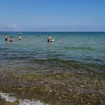 Accussi