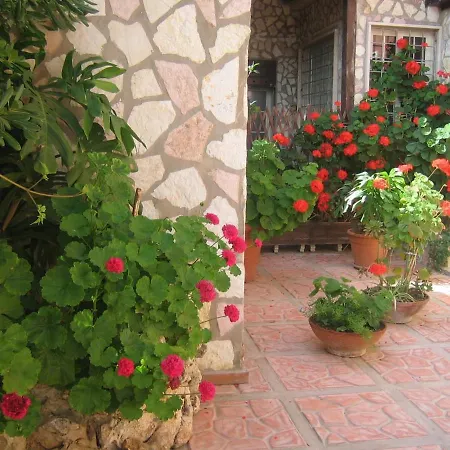 Accussi 阿尔卡莫马里纳