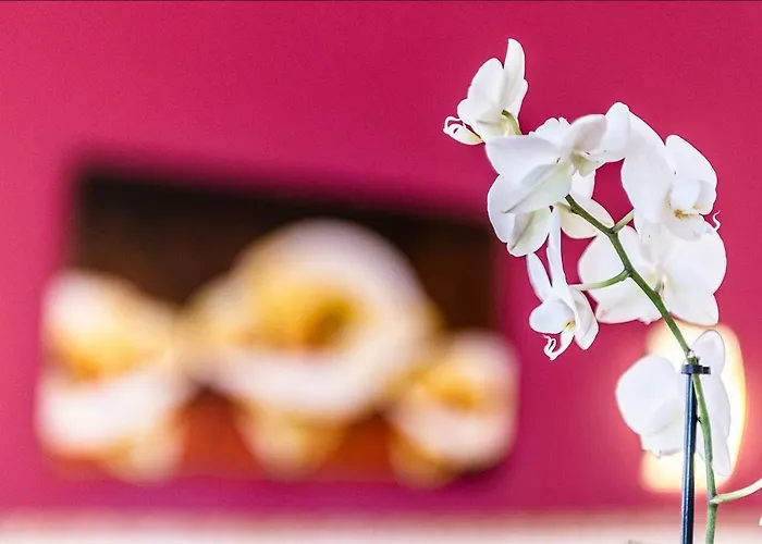 Accussi 住宿加早餐酒店 3*