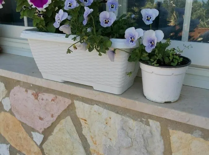 住宿加早餐酒店 Accussi 阿尔卡莫马里纳