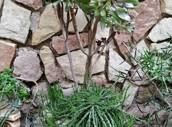 住宿加早餐酒店 Accussi 3*