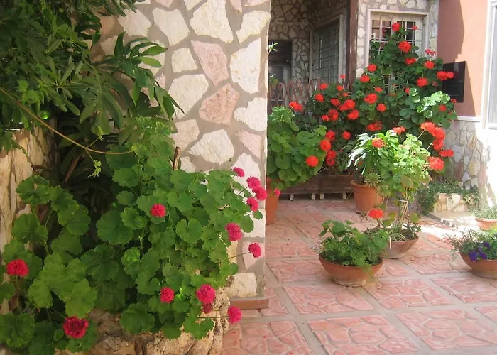 Accussi 阿尔卡莫马里纳